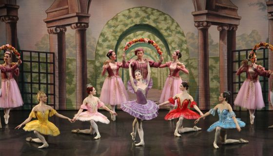 Балет «Спящая красавица», Губкинский