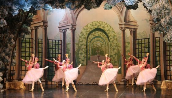 Балет «Спящая красавица», Губкинский