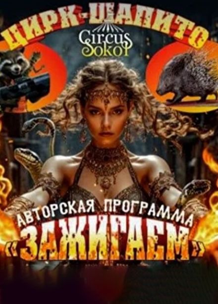 Цирк-шапито «Сокол»