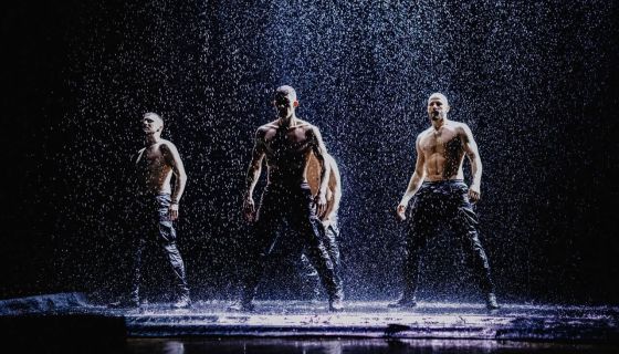 Шоу под дождём V. Признание в любви, Ноябрьск