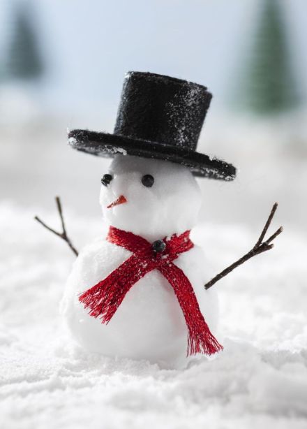 Шоу «Шёпот снежинок»