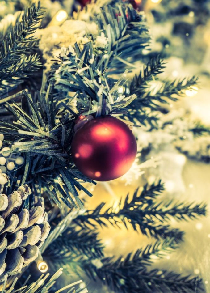 Шоу «Нейро-ёлка»