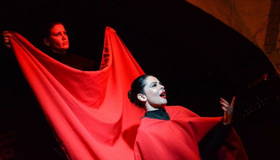 Спектакль «Служанки»