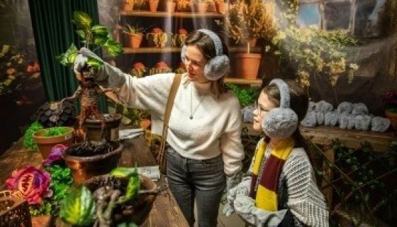 Выставка «Тайны Хогвартс»